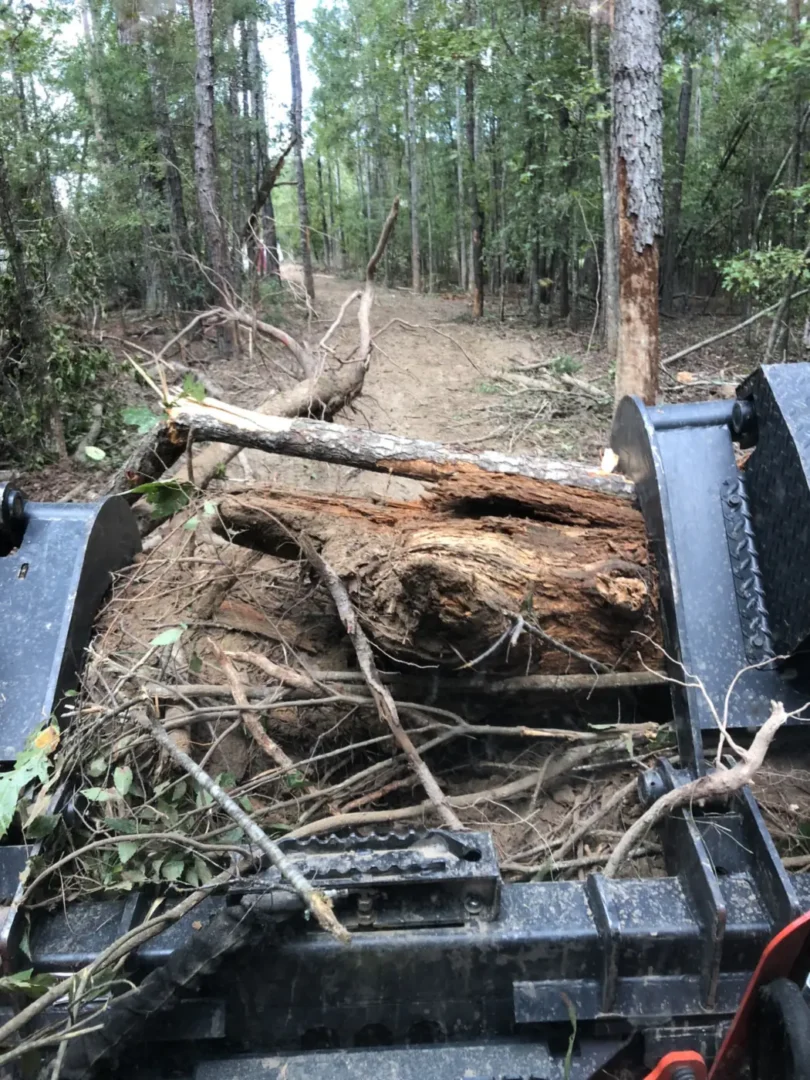 Forestry Mulching: a grapple bucket loaded with cleared brush and small logs on a wooded trail near Chattanooga, TN